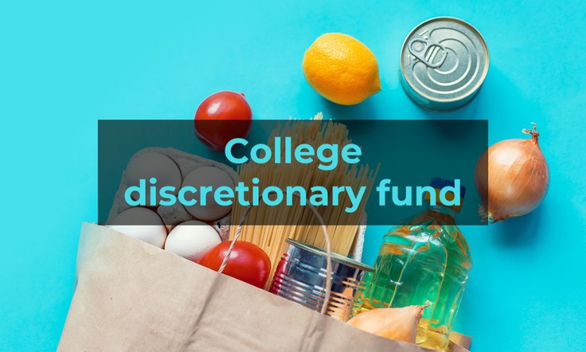 Image shows a bag of groceries with the words college discretionary fund